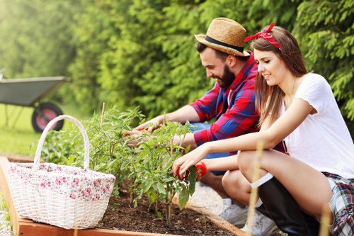 Planting services in Brompton for a small residential garden