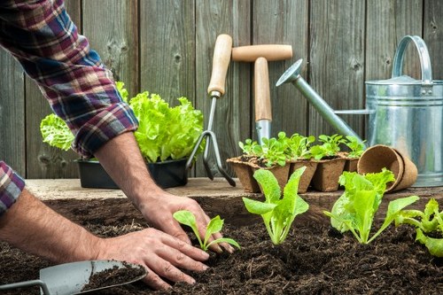 Landscaping inspiration for a Brompton garden with elegant outdoor design