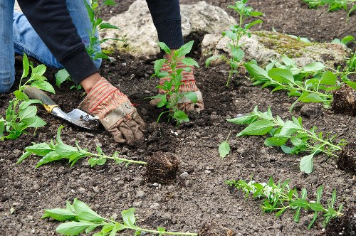 Professional Brompton landscaping work with planting and paved features