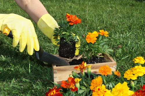 Senior review of a landscaping complaint case
