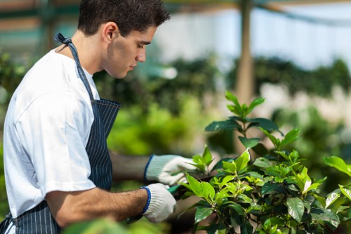 Supplier compliance review for landscapers