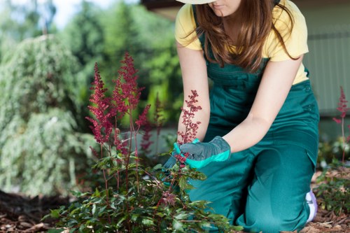 Fixing patchy grass and moss in a Brompton lawn