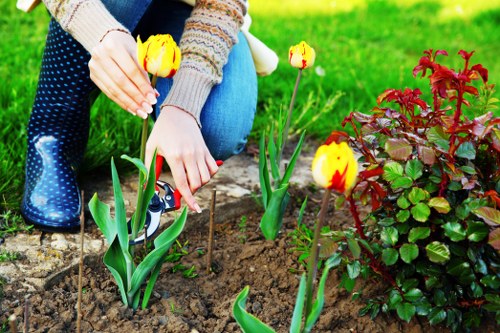 Seasonal lawn maintenance in a Brompton garden