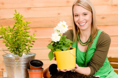 Cookie policy updates and user control for Landscapers Brompton