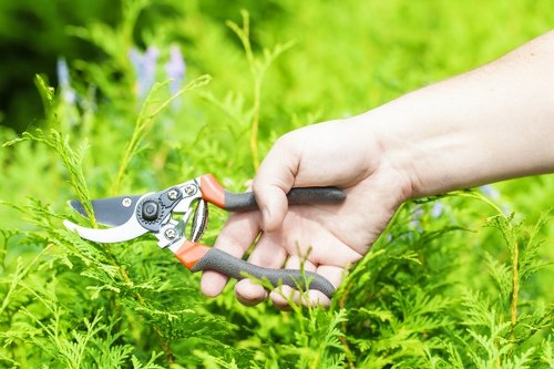 Analytics cookie usage and website behavior tracking for Landscapers Brompton
