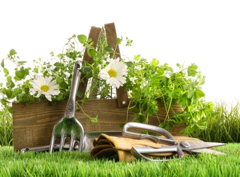 Aeration and feeding for lawn care in Brompton