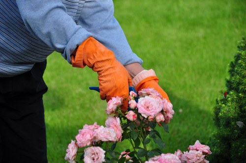 Professional tree pruning and removal work in Brompton gardens