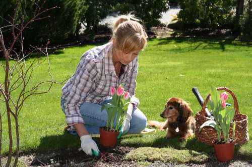 Popular landscaping features for Brompton homes and courtyards