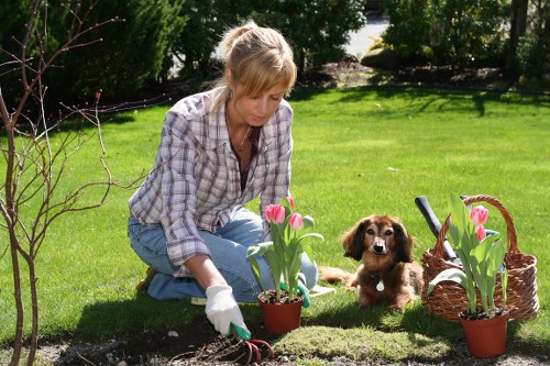 Low-maintenance landscaping in Brompton with modern finishes