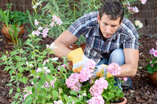 Lawn care and edging as part of garden maintenance in Brompton